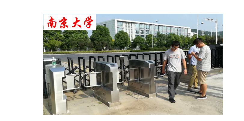 擺閘的應用領域